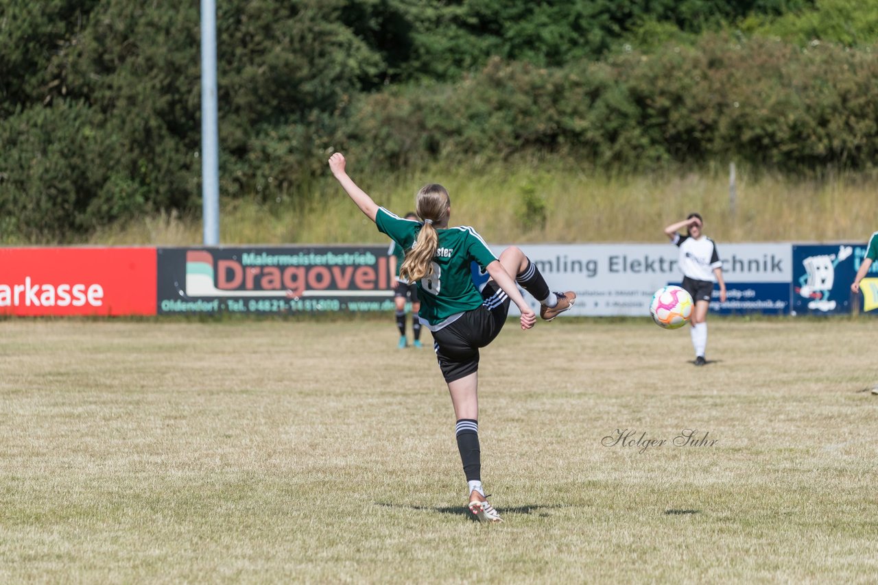 Bild 264 - wBJ TuRa Meldorf/Buesum - JFV Luebeck : Ergebnis: 1:0